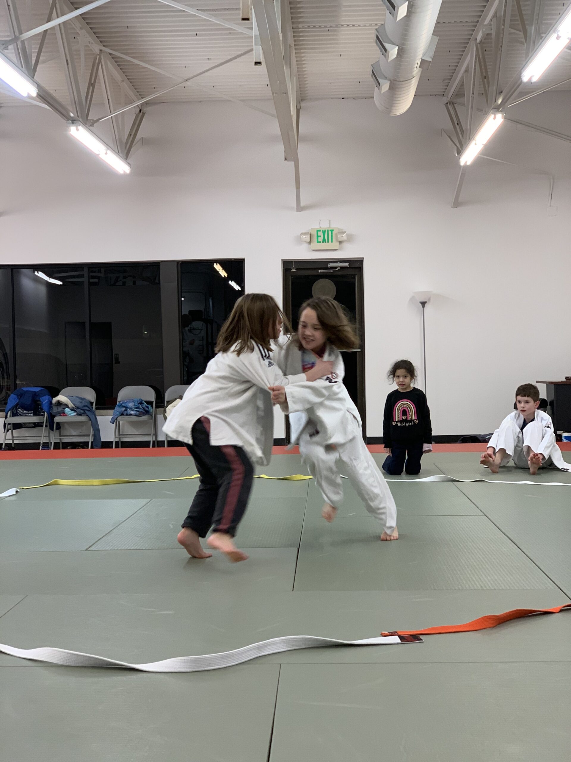 Carmel Judo webform image